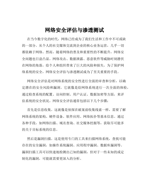 网络安全评估与渗透测试