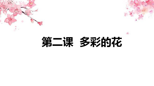 人教鄂版小学科学一年级下册2 多彩的花 课件