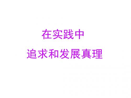 6.2在实践重追求和发展真理