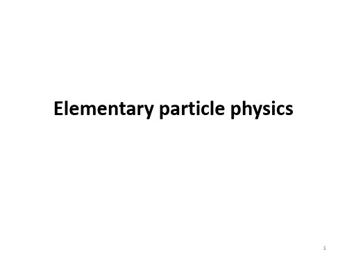 9ElementaryParticlePhysics