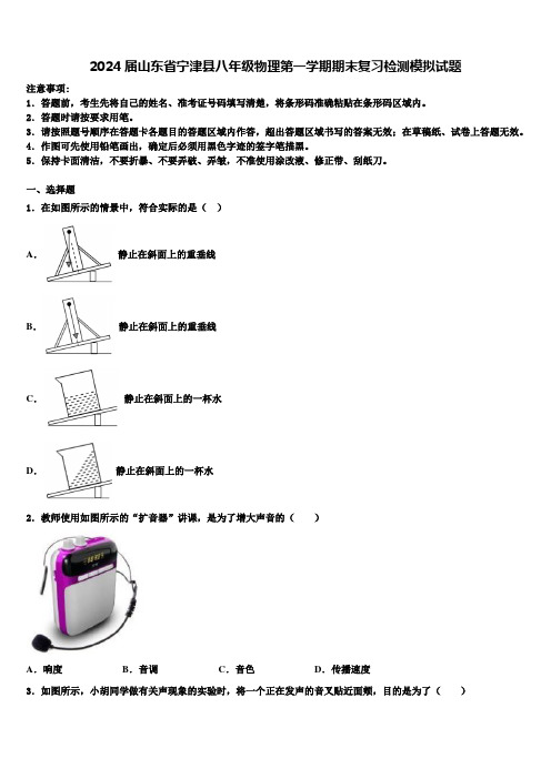 2024届山东省宁津县八年级物理第一学期期末复习检测模拟试题含解析