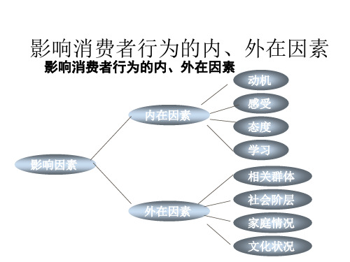 影响消费者行为的内、外在因素PPT(20张)