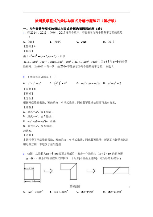 徐州数学整式的乘法与因式分解专题练习(解析版)