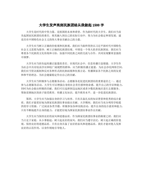 大学生发声亮剑民族团结从我做起1500字