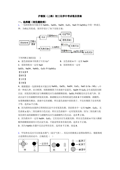 沪教版(上海)初三化学中考试卷及答案