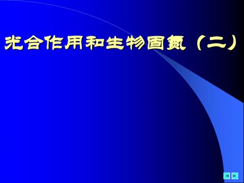 《光合作用和生物固氮》PPT课件 人教课标版