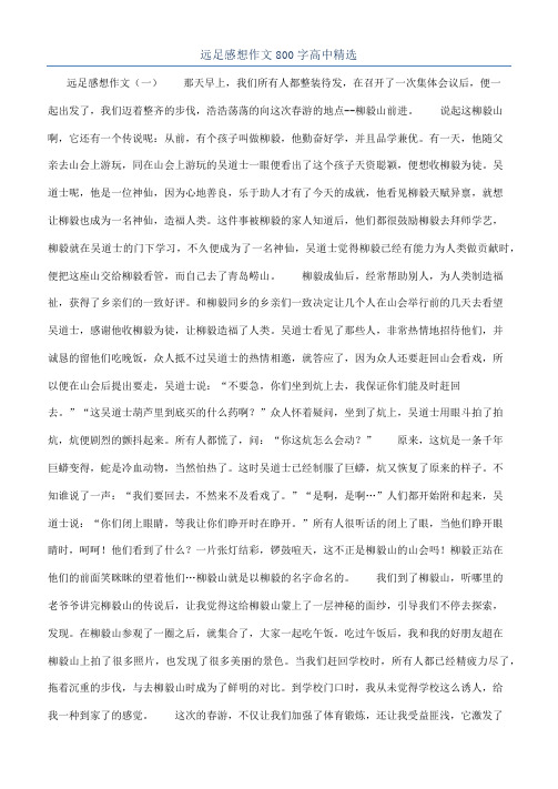 远足感想作文800字高中精选