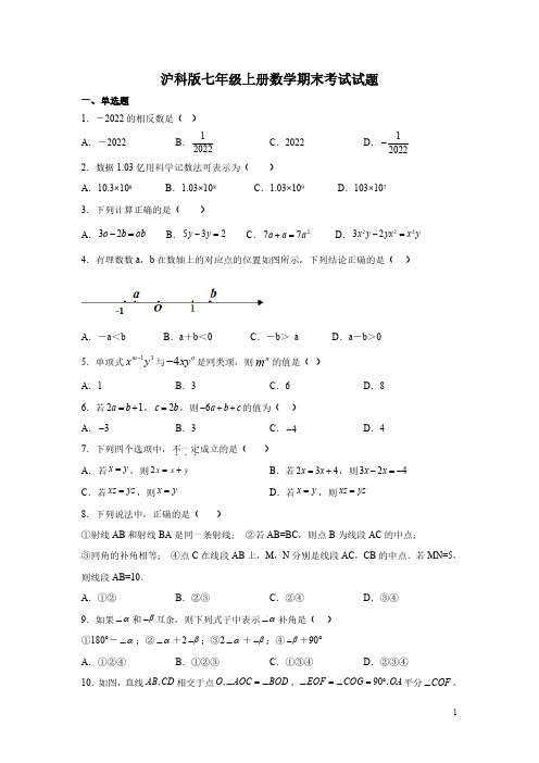 沪科版七年级上册数学期末考试试卷含答案