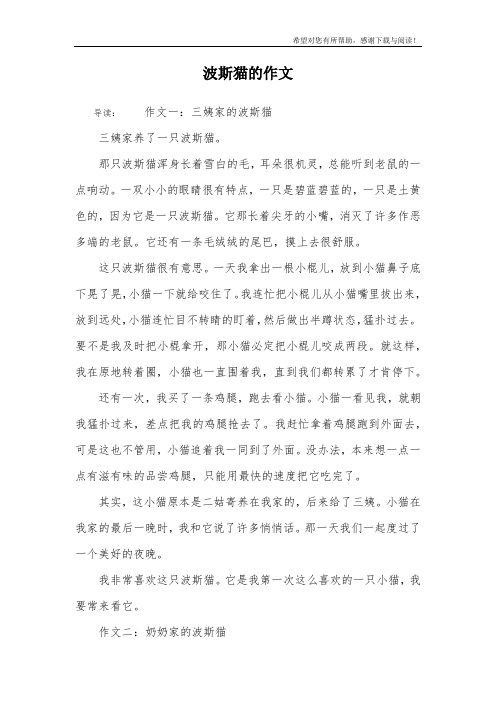 波斯猫的作文