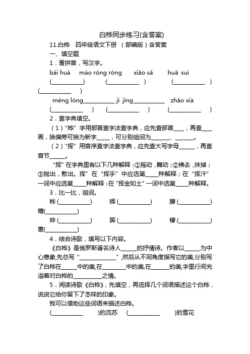 白桦同步练习(含答案)