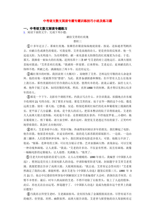 中考语文散文阅读专题专题训练技巧小结及练习题