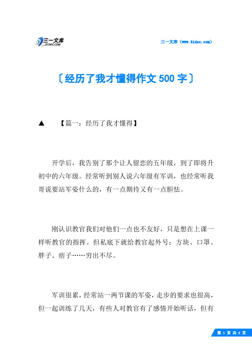 经历了我才懂得作文500字