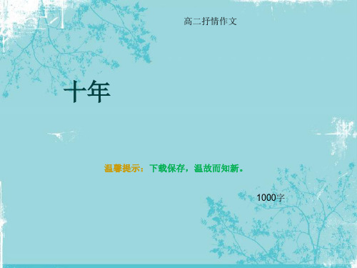 高二抒情作文《十年》1000字