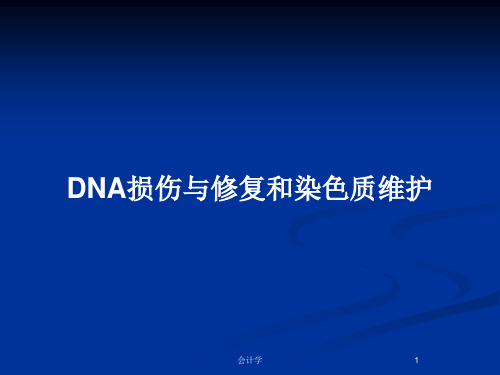 DNA损伤与修复和染色质维护PPT教案