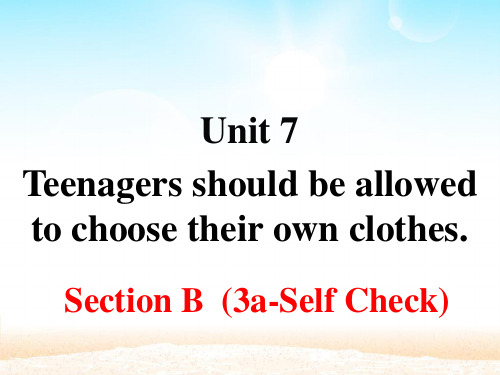 人教版九年级英语上册Unit7 Section B 3a-Self Check四