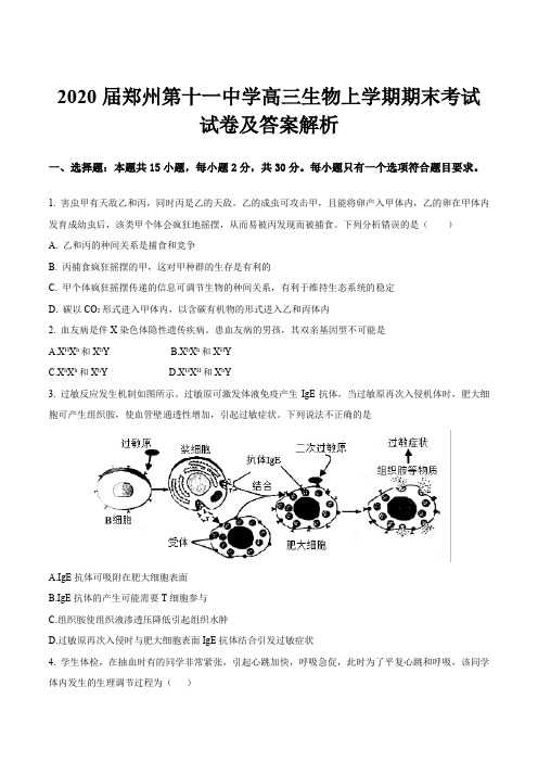 2020届郑州第十一中学高三生物上学期期末考试试卷及答案解析