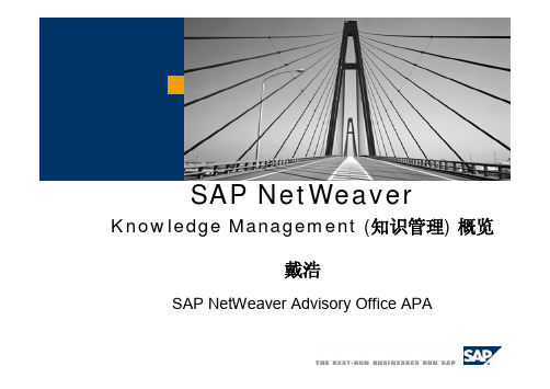 SAP Knowledge Management 概览