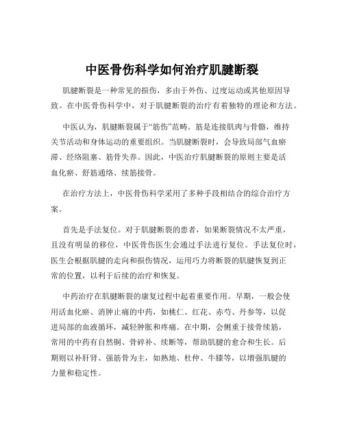 中医骨伤科学如何治疗肌腱断裂