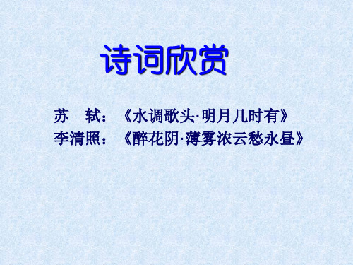 苏轼李清照诗词欣赏(2019年11月整理)