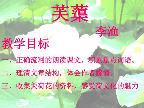 语文:第10课《芙蕖》课件(北师大版八年级下)