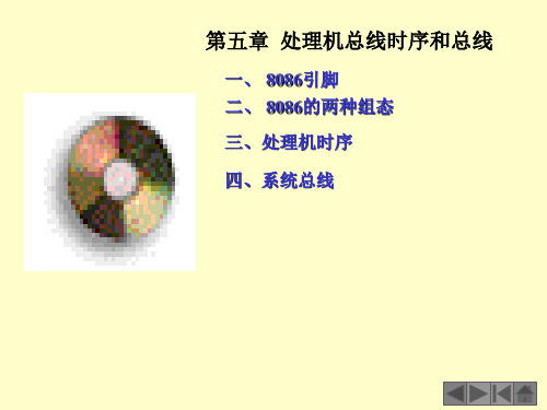 第五章处理器总线时序