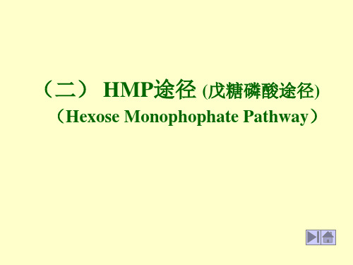 (二)HMP途径(戊糖磷酸途径)(HexoseMonophophate