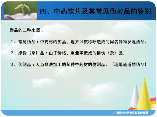 中药饮片性状及常见真伪鉴别