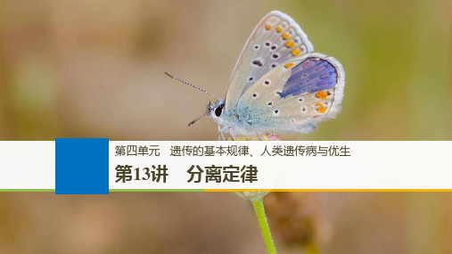 2019版大一轮高三一轮复习系列选考总复习(浙江专版)生物课件：第四单元 遗传的基本规律 第13讲