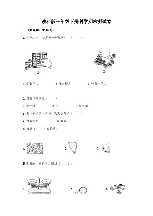 教科版一年级下册科学期末测试卷及参考答案(完整版)