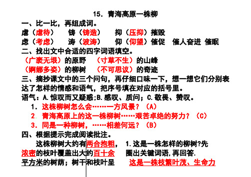 苏教版六年级语文上册《配套练习册》15-17课答案汇编