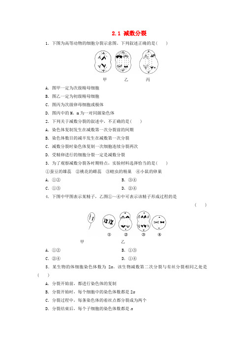 高中生物 2.1 减数分裂同步习题 苏教版必修2