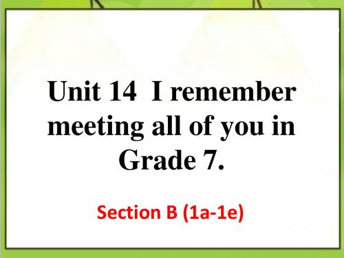 最新人教版英语初中九年级上册Unit 14 Section B (1a-1e)优质课课件