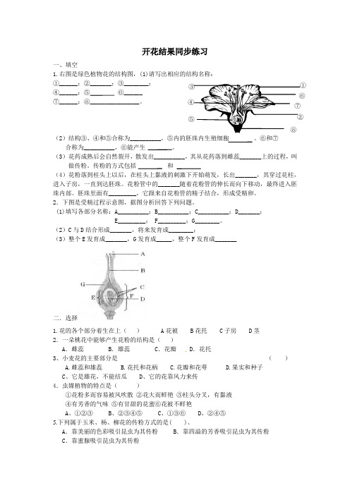 定稿   开花结果同步练习