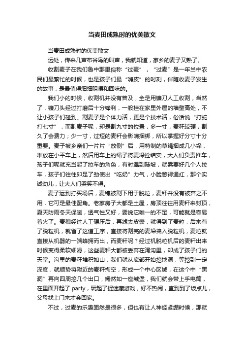 当麦田成熟时的优美散文