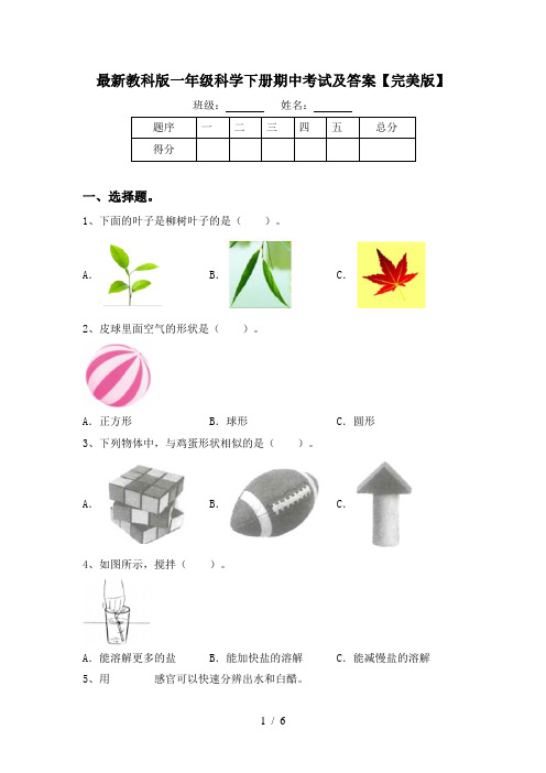 最新教科版一年级科学下册期中考试及答案【完美版】