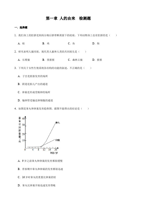 人教版生物七年级下册 第四单元 第一章 人的由来  检测题(含答案)