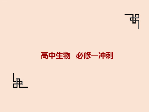 高中生物必修一冲刺复习课教学课件