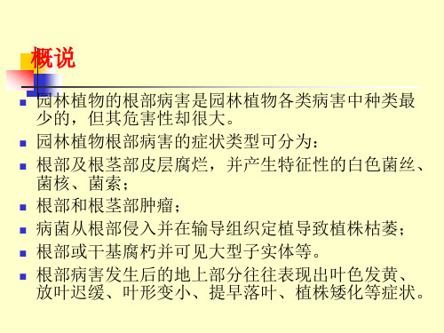 观赏植物病虫害识别与防治根部病害的识别与防治