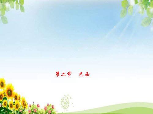 《巴西》练习题课件