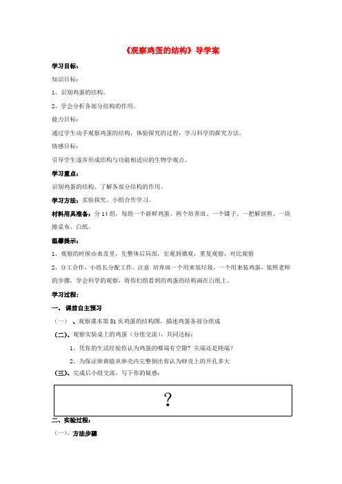 八年级生物上册 《观察鸡蛋的结构》导学案 (无答案) 济南版