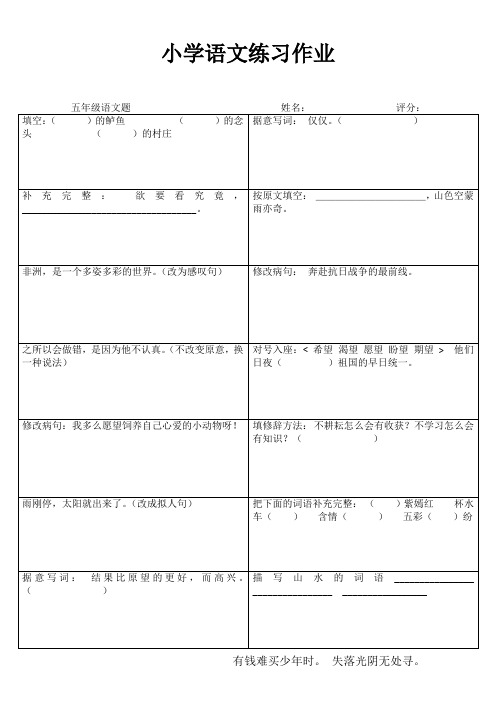 小学五年级语文精题选做III (33)