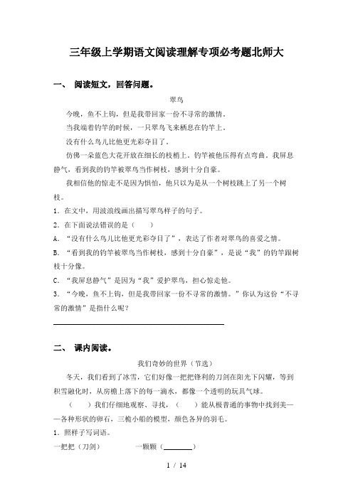 三年级上学期语文阅读理解专项必考题北师大