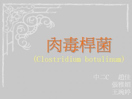 肉毒杆菌(Clostridium botulinum)