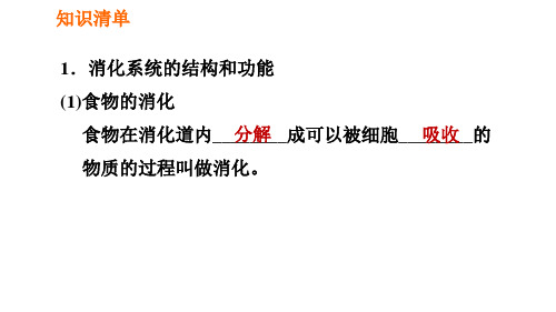 人教版七年级下册生物第2章4.2.2.1食物的消化习题课件