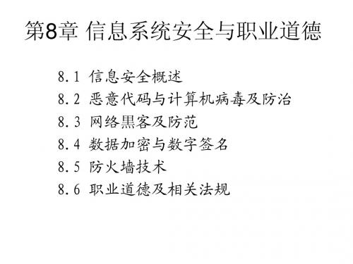 第8章 信息系统安全与职业道德