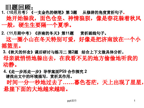 现代文阅读之赏析句子的表达效果ppt课件