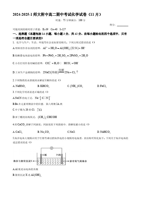 湖南师大附中2024-2025学年高二上学期11月期中考试化学试卷(含答案)