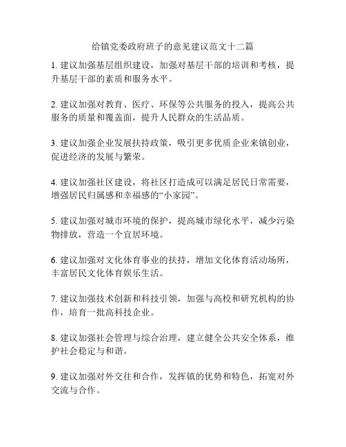 给镇党委政府班子的意见建议范文十二篇