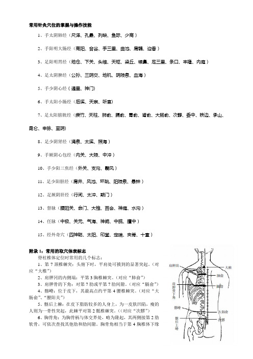 穴位定位及主治