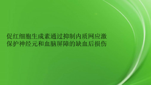 促红细胞生成素通过抑制内质网应激保护神经元和血脑屏障的缺血后损伤